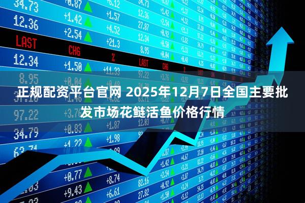 正规配资平台官网 2025年12月7日全国主要批发市场花鲢活鱼价格行情